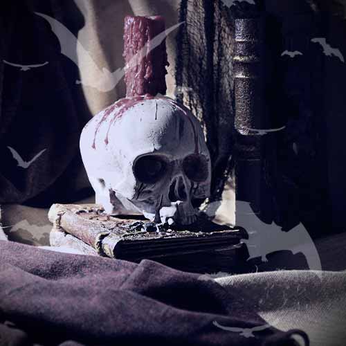 A skull with a book